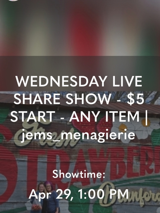 Other - ALL SHOWS NOTIFICATION LISTING - LIKE TO BE NOTIFIED FOR POPUPS @jems_menagierie